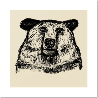 Transparent Bear Posters and Art